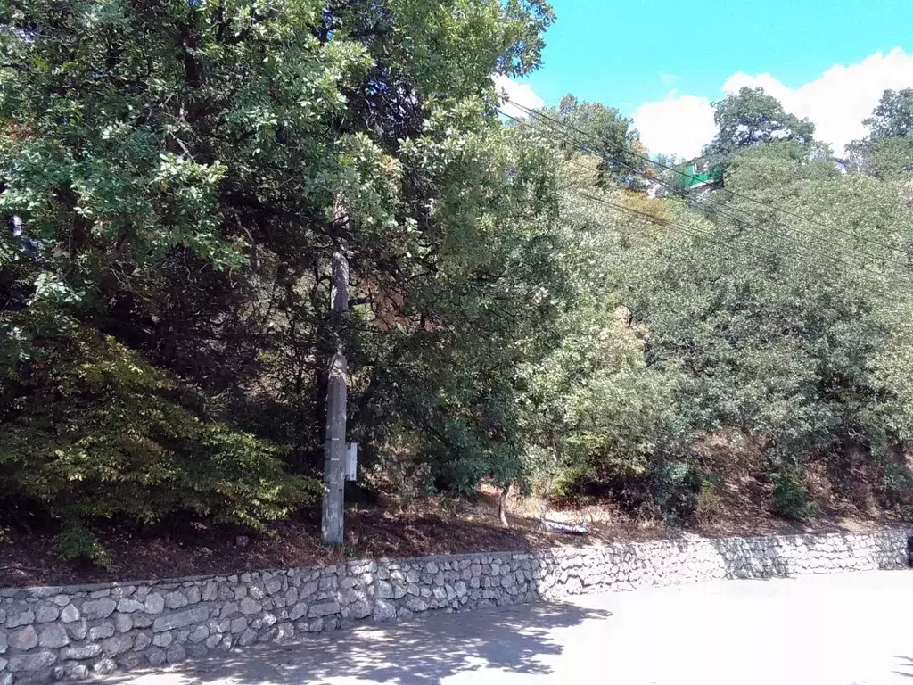 Участок в Крым, Алупка ул. Нагорная (10.0 сот.) - Фото 1