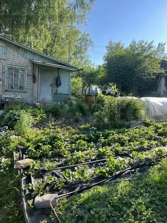 Дом в Костромская область, Кострома Прогресс СНТ, 105 (20 м) - Фото 0