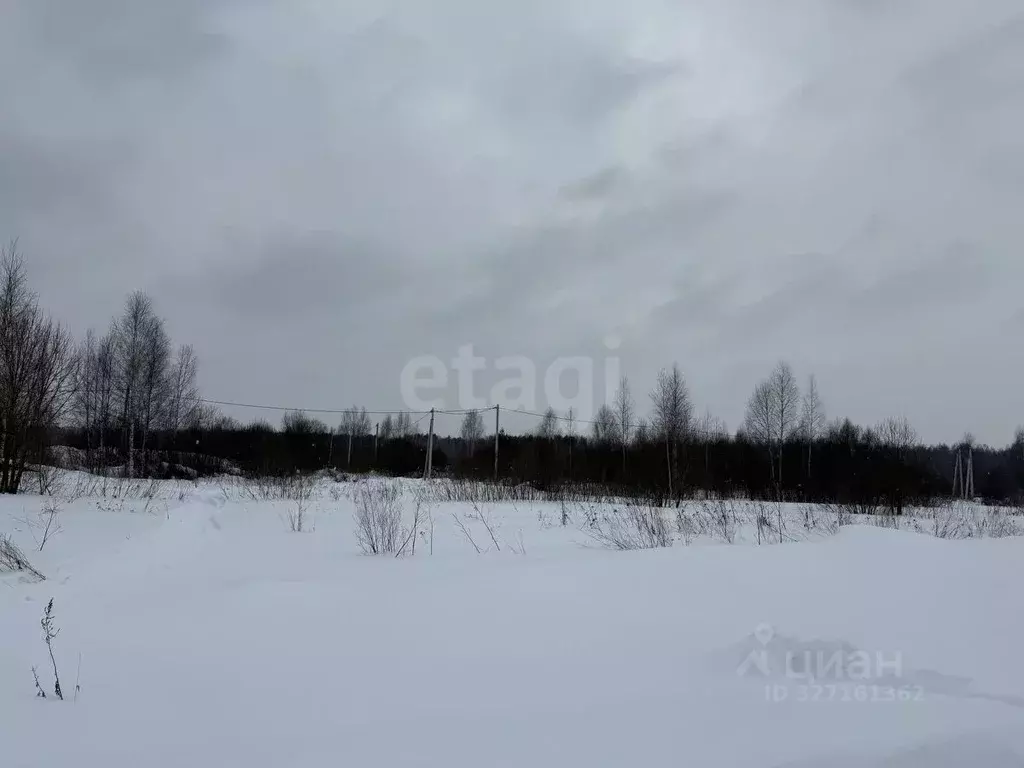 Участок в Костромская область, Кострома Соколиное Гнездо кп,  (10.0 ... - Фото 1