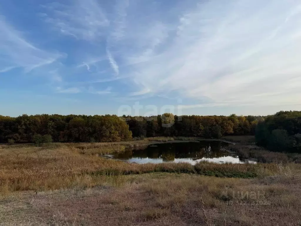 Участок в Саратовская область, Балашовский район, с. Репное  (10.0 ... - Фото 1