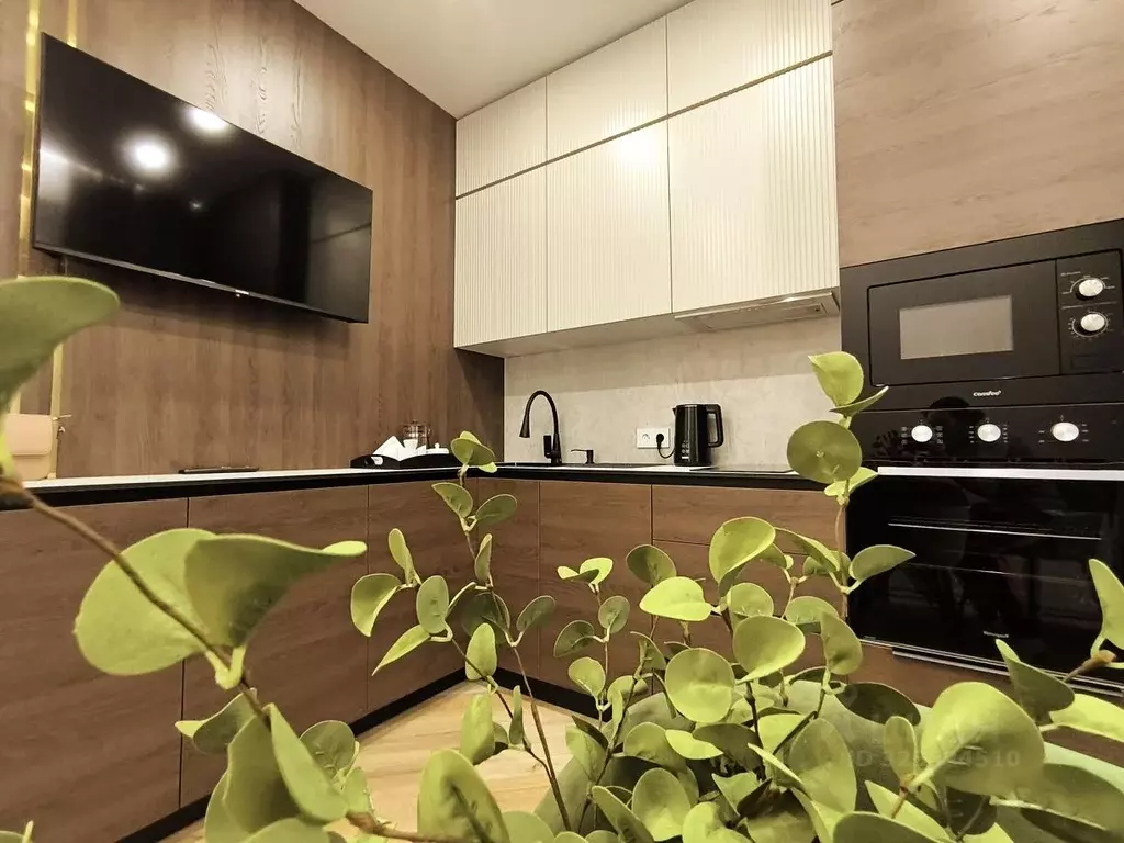 1-к кв. Краснодарский край, Сочи ул. Искры, 66/9к7 (35.0 м) - Фото 1