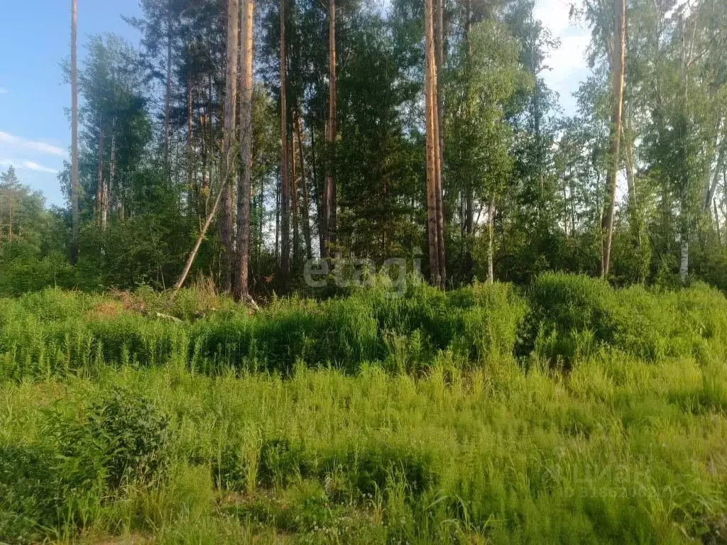 Участок в Свердловская область, Ревда муниципальный округ, с. Кунгурка ... - Фото 0