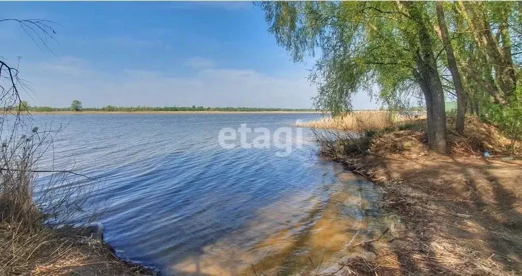 Участок в Татарстан, Лаишевский район, Нармонское с/пос, с. Тетеево ... - Фото 0