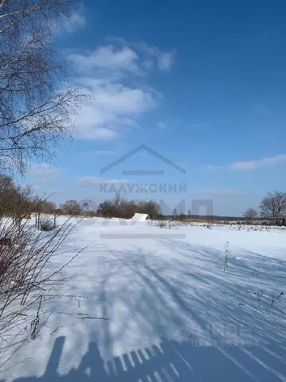 Участок в Калужская область, Дзержинский район, с. Дворцы ул. Луговая ... - Фото 1