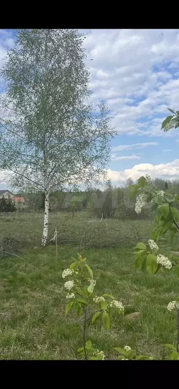 Участок 7,5 сот. (ИЖС) - Фото 0