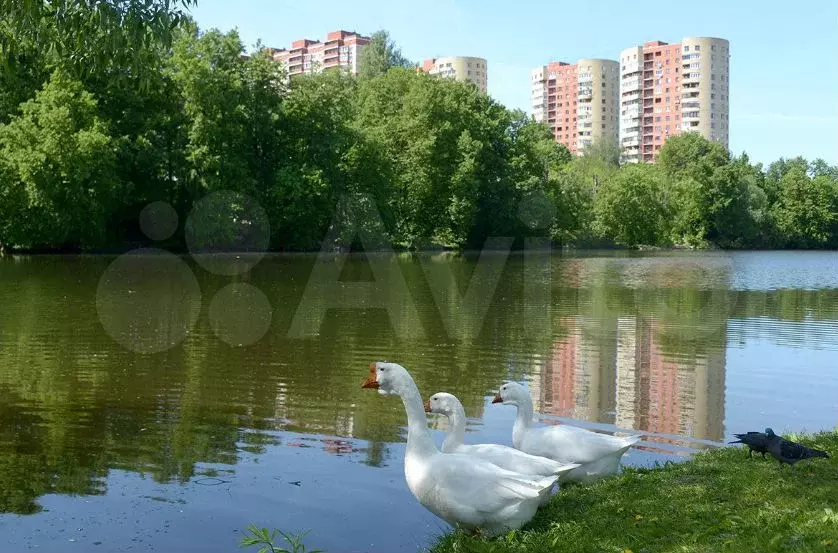 Квартира-студия, 14,3 м, 1/9 эт. - Фото 1