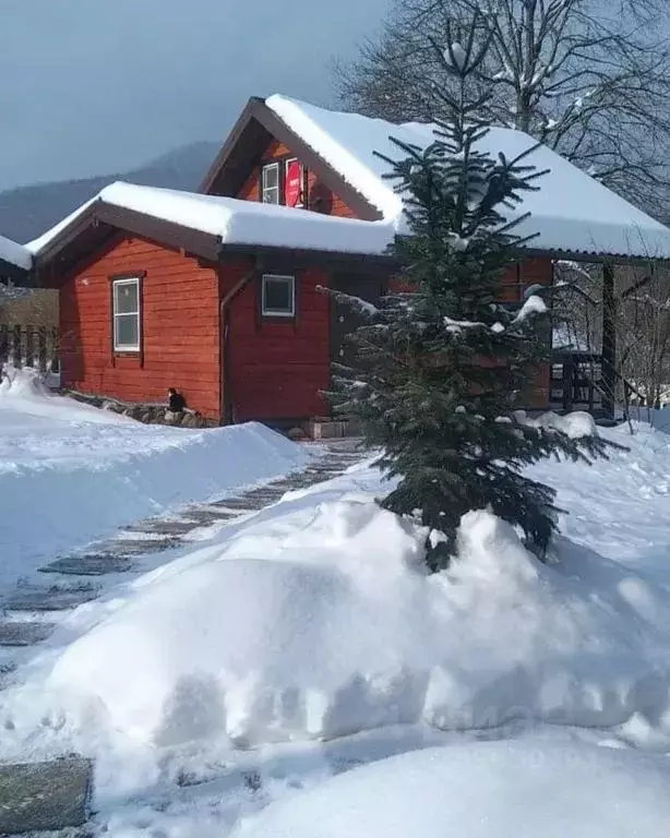 Дом в Адыгея, Майкопский район, Даховское с/пос, с. Хамышки  (36 м) - Фото 2