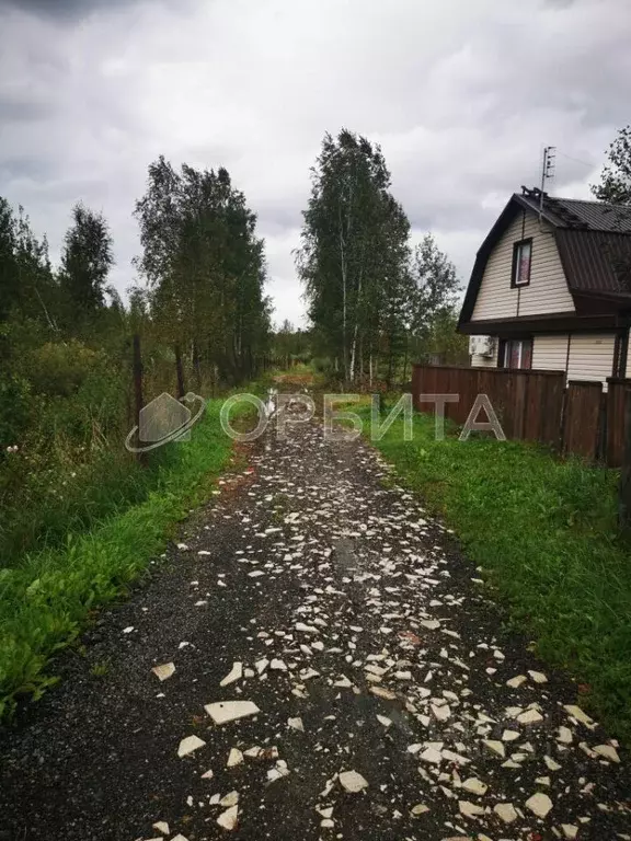 Участок в Тюменская область, Тюменский район, Майское СНТ ул. Розовая ... - Фото 0