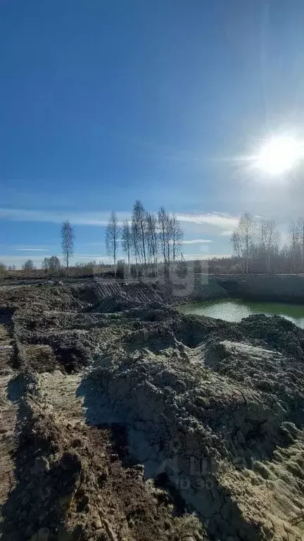 участок в тюменская область, тюмень салаирский тракт, 6-й км (8.0 . - Фото 1