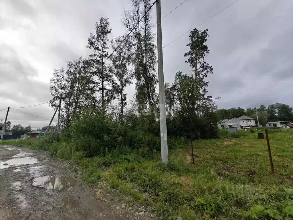Участок в Свердловская область, Екатеринбург Полеводство кп,  (12.8 ... - Фото 1