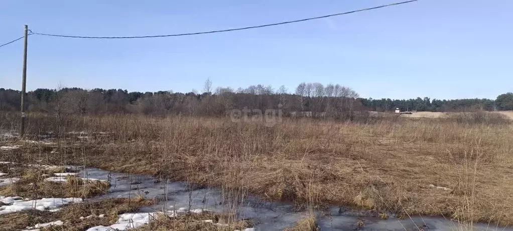 Участок в Ленинградская область, Волховский район, Сясьстройское ... - Фото 1