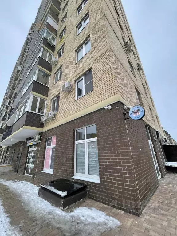 Торговая площадь в Краснодарский край, Краснодар ул. Летчика ... - Фото 1