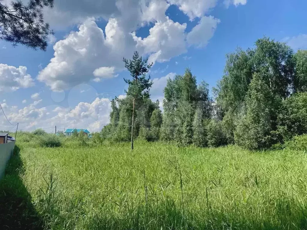 Участок 10 сот. (СНТ, ДНП) - Фото 1