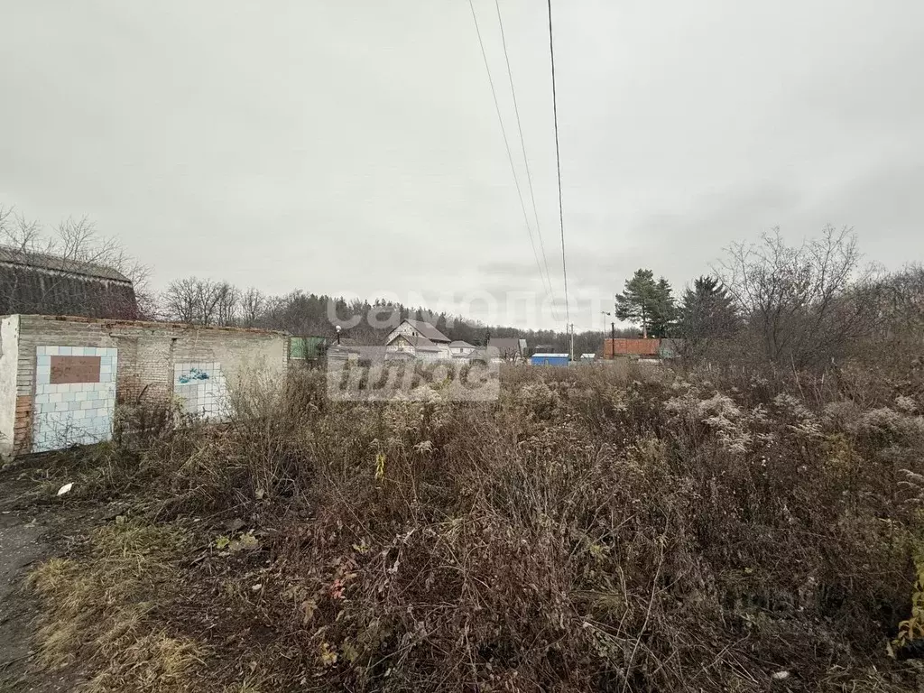 Участок в Пензенская область, Пенза Маяковец-2 СДТ, 27 (7.0 сот.) - Фото 2