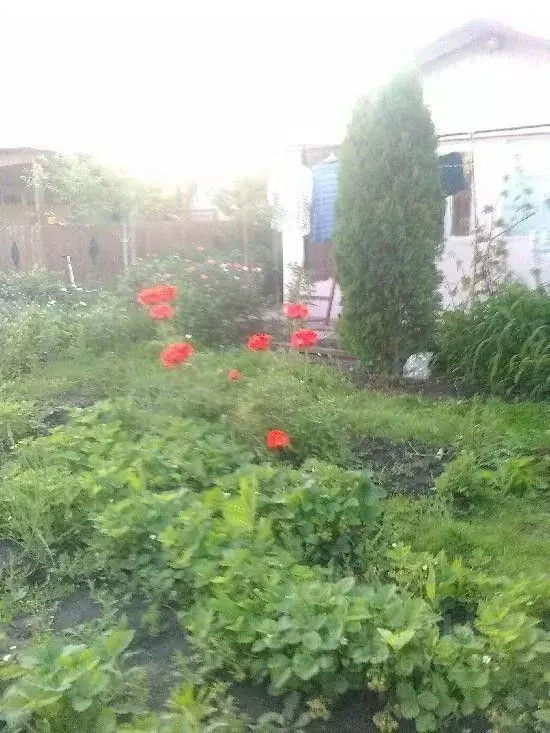 Дом в Самарская область, Ставропольский район, Подстепки с/пос, ... - Фото 0
