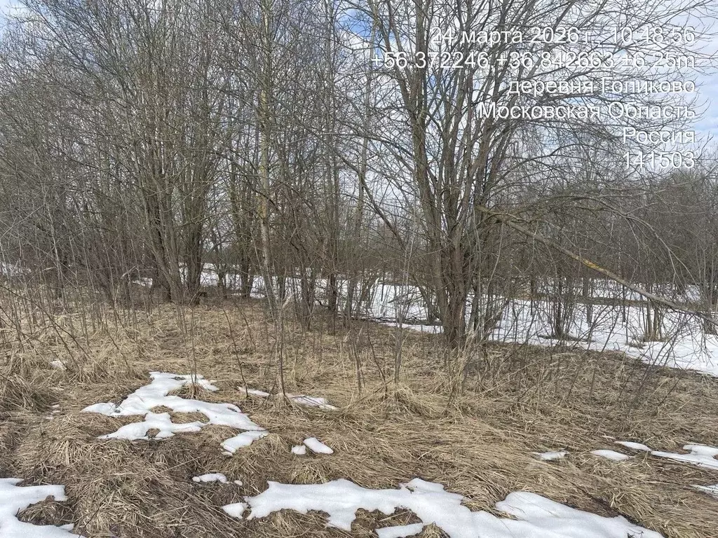 Участок в Московская область, Клин городской округ, д. Голиково  (13.1 ... - Фото 2
