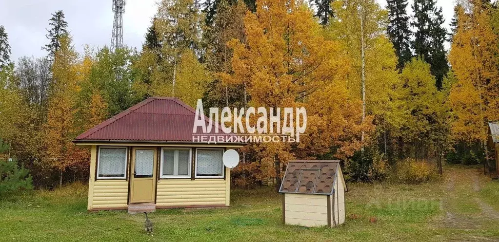 Участок в Ленинградская область, Приозерский район, Ларионовское ... - Фото 1