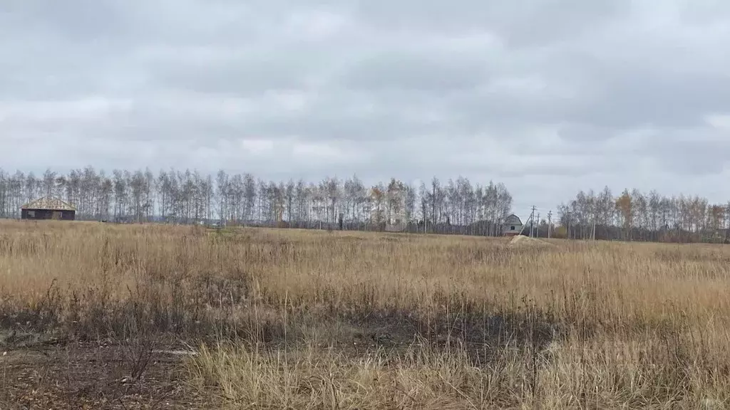 Участок в Тамбовская область, Тамбовский муниципальный округ, д. ... - Фото 1