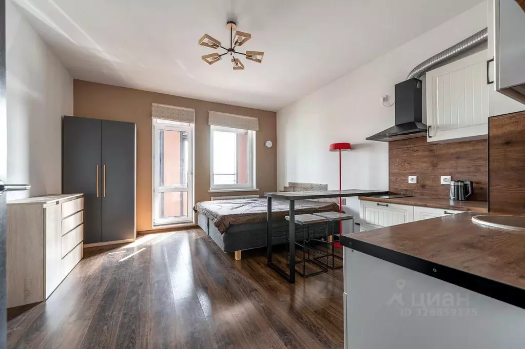 Студия Санкт-Петербург Кузнецовская ул., 58к1 (24.3 м) - Фото 2