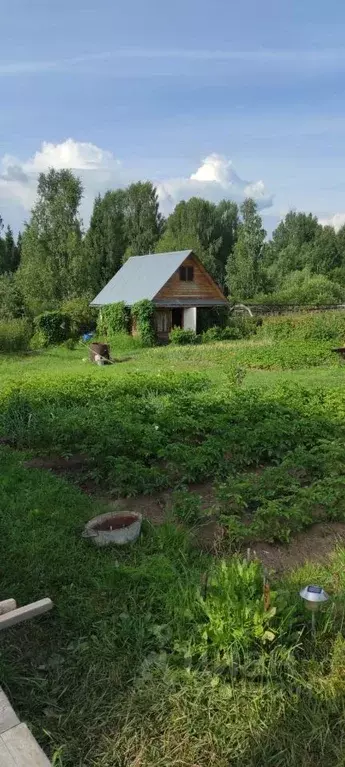 Дом в Кировская область, Юрьянский район, Медянское с/пос, д. ... - Фото 1