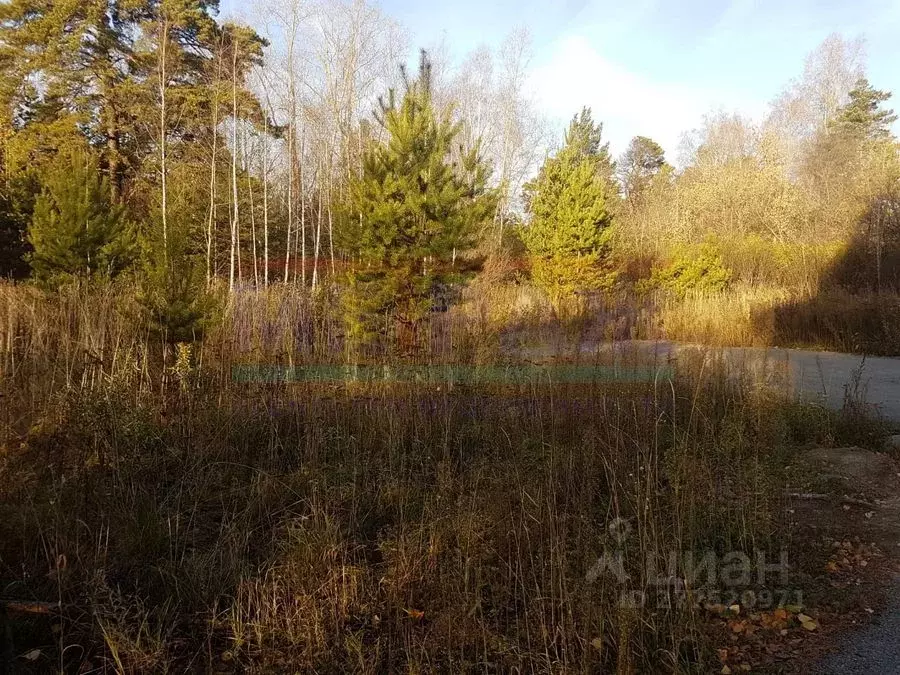 Участок в Новосибирская область, Новосибирск ул. 91-й Перекат (74.41 ... - Фото 2