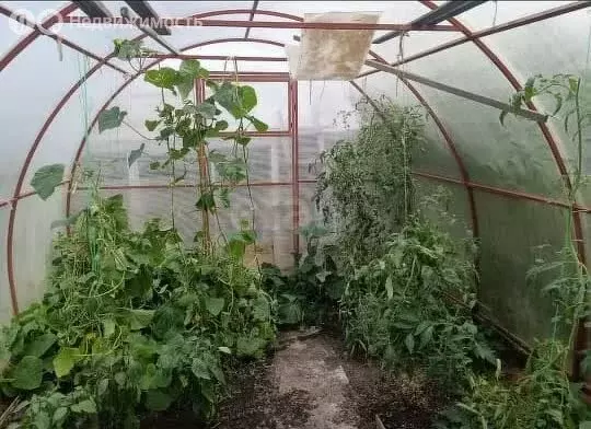 Дом в Курган, СНТ Земледелец, Яблоневая улица (26.2 м) - Фото 1