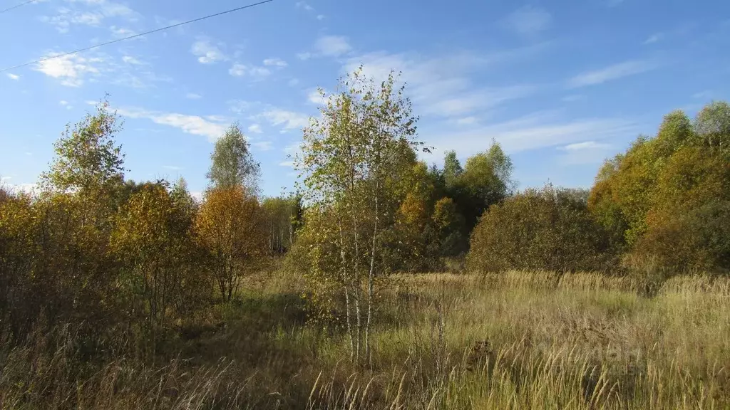 Участок в Московская область, Рузский муниципальный округ, д. Глухово  ... - Фото 0