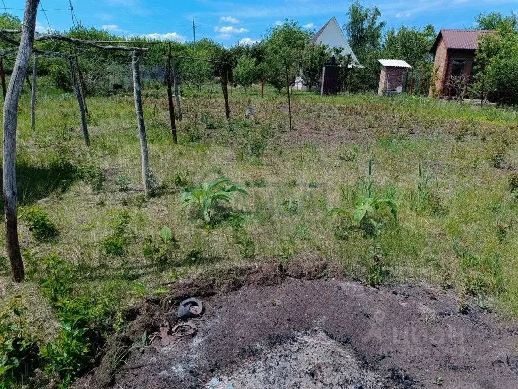 Участок в Ростовская область, Ростов-на-Дону Кумженское СНТ, ул. 7-я ... - Фото 1