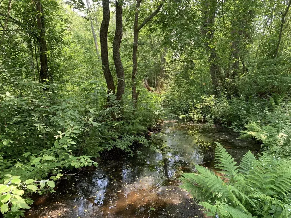 Участок в Тверская область, Осташковский муниципальный округ, д. ... - Фото 1