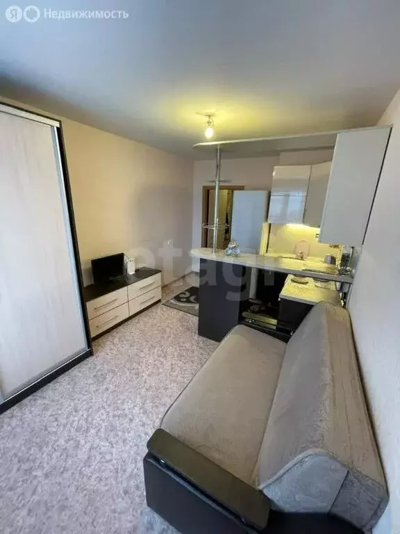 Квартира-студия: Новосибирск, улица Дмитрия Шмонина, 6 (20.7 м) - Фото 1