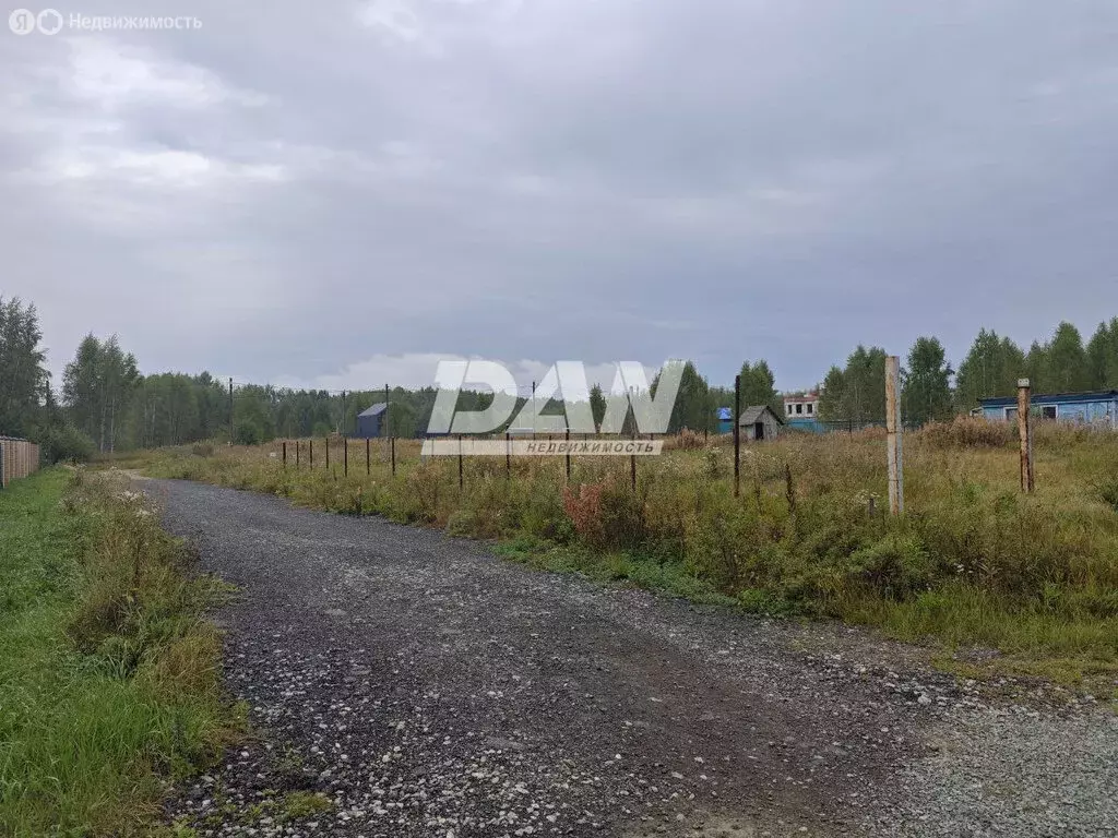 Участок в Челябинская область, Аргаяшский муниципальный округ, село ... - Фото 2