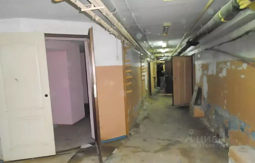 Помещение свободного назначения в Новосибирская область, Новосибирск ... - Фото 2