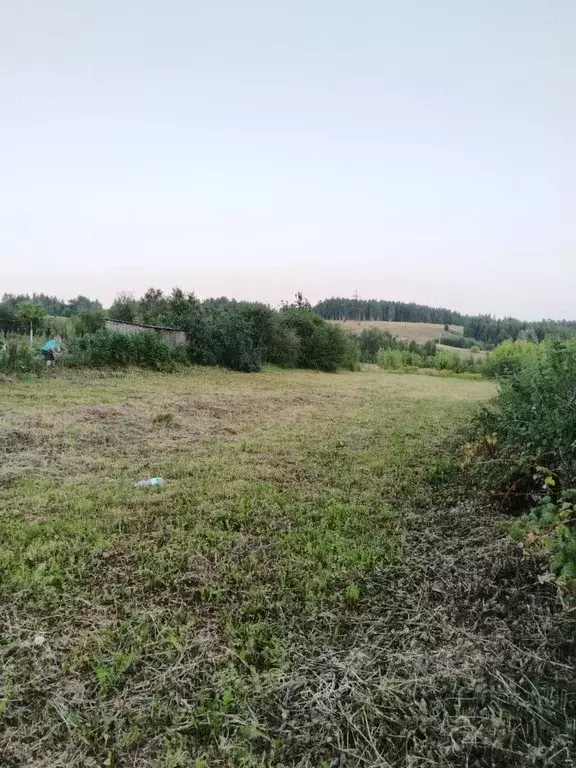 Участок в Нижегородская область, Нижний Новгород д. Новоликеево,  ... - Фото 1