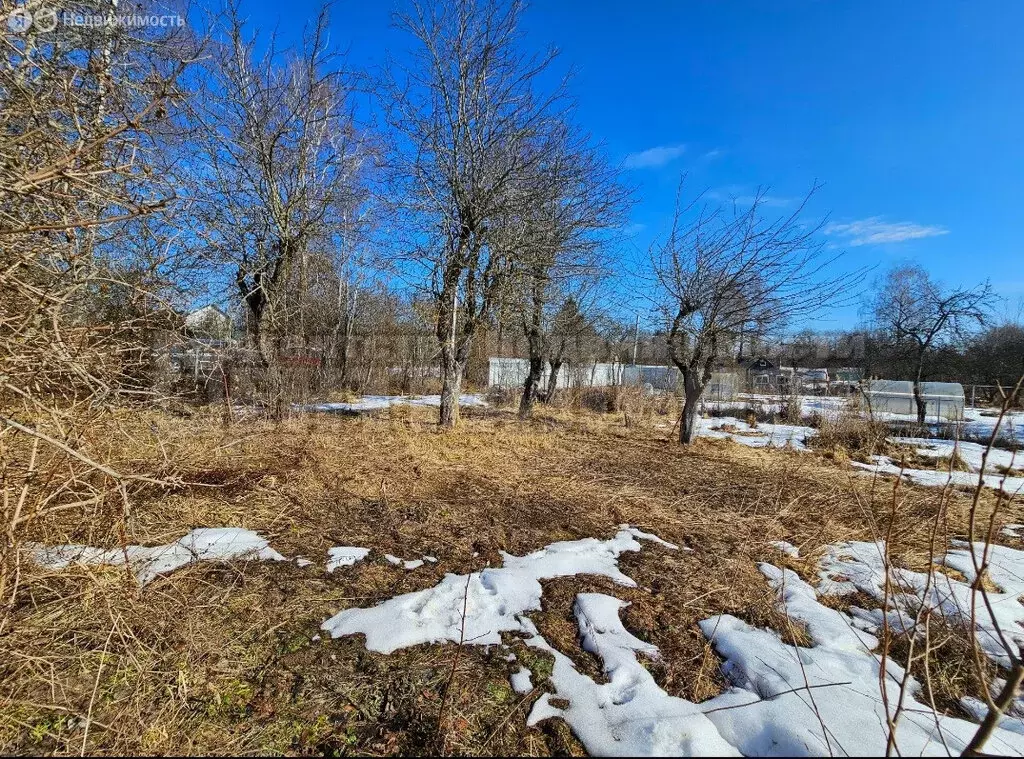 Участок в Смоленск, Досуговское шоссе (7.6 м) - Фото 2