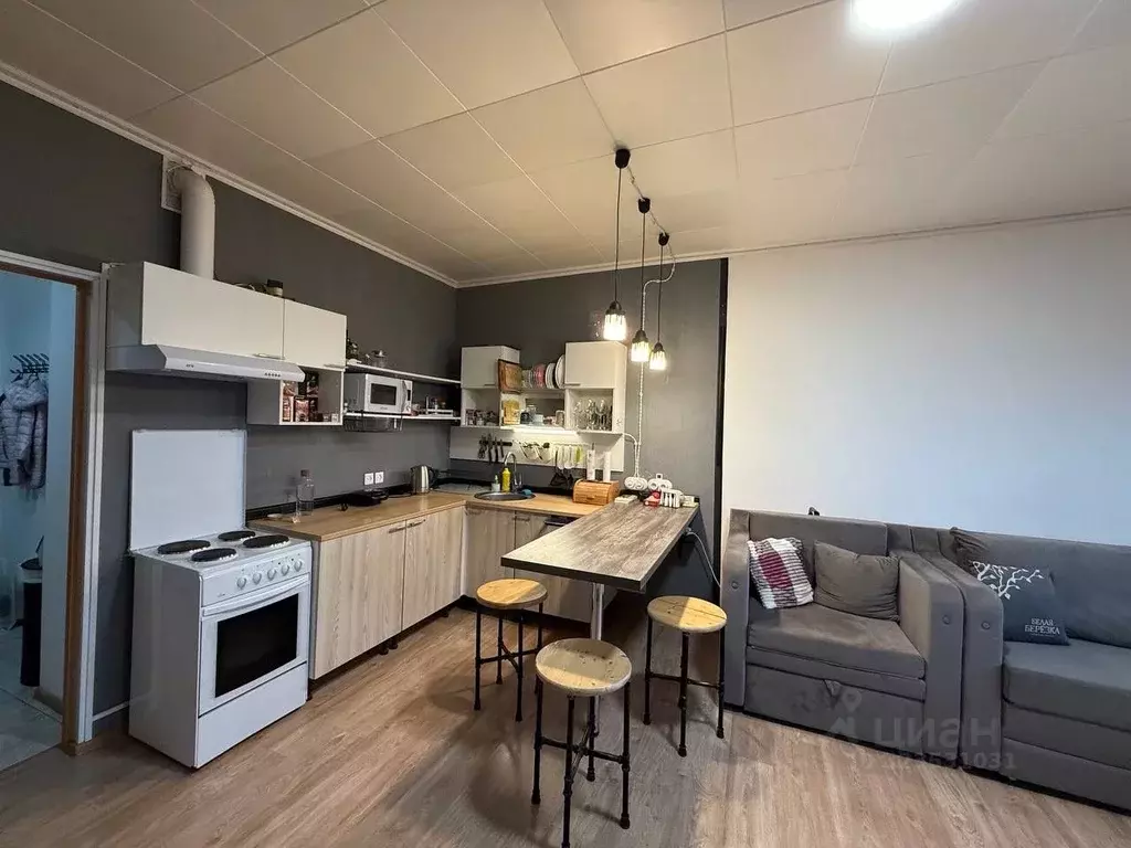 Студия Московская область, Балашиха городской округ, д. Павлино 67 ... - Фото 2