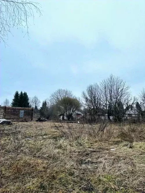 Участок в Новгородская область, Валдайский район, Ивантеевское с/пос, ... - Фото 0