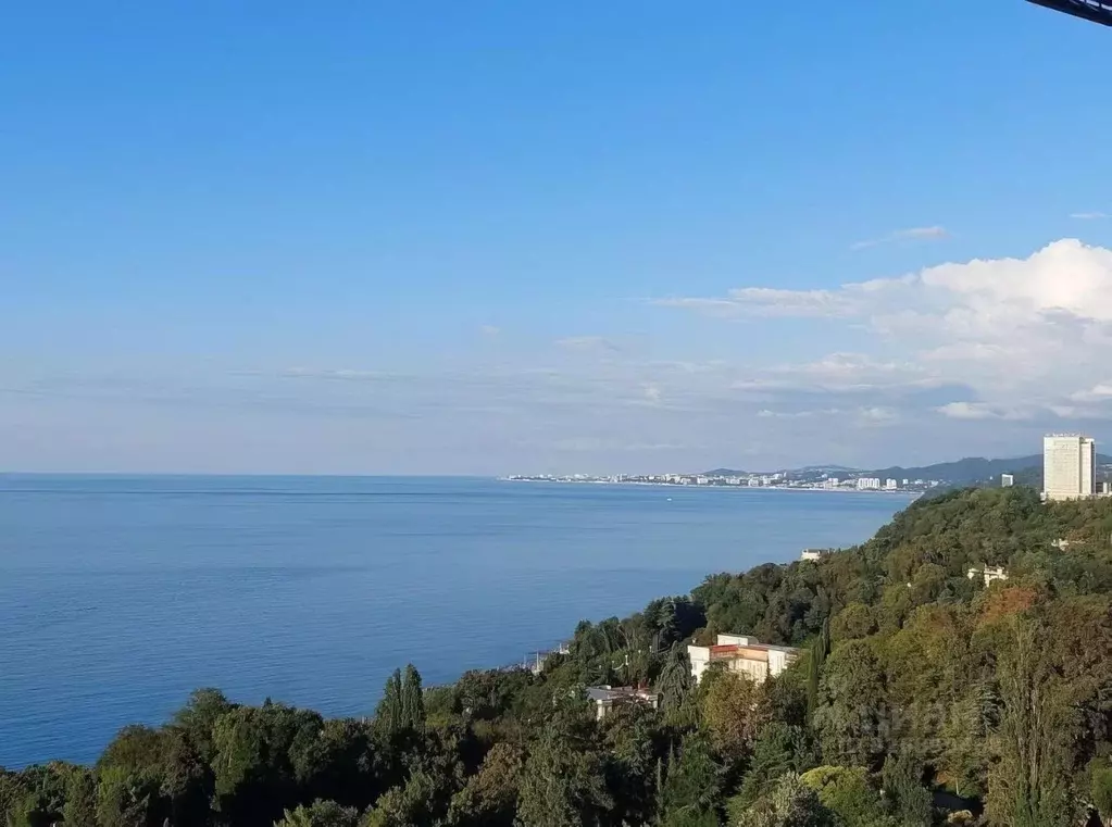 1-к кв. Краснодарский край, Сочи Приморье мкр, ул. Есауленко, 6Ак2 ... - Фото 1