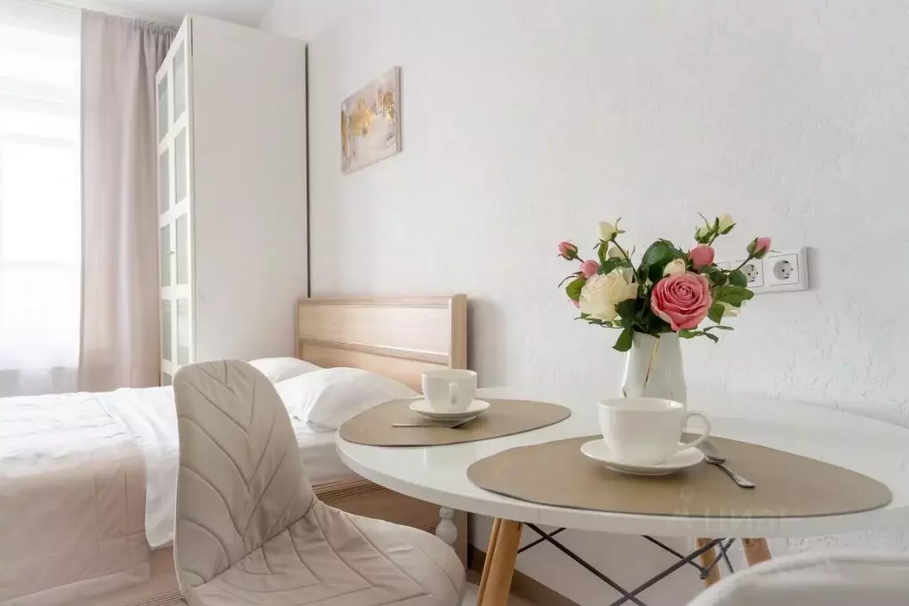 Студия Санкт-Петербург ул. Адмирала Черокова, 18к3 (24.1 м) - Фото 2