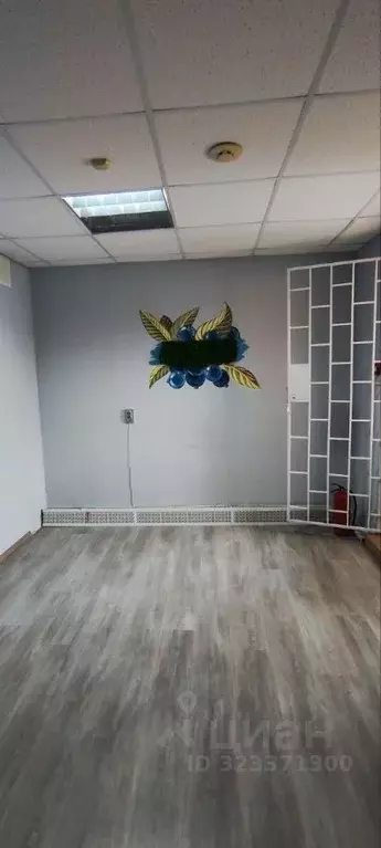 Помещение свободного назначения в Липецкая область, Липецк ул. Фрунзе, ... - Фото 2