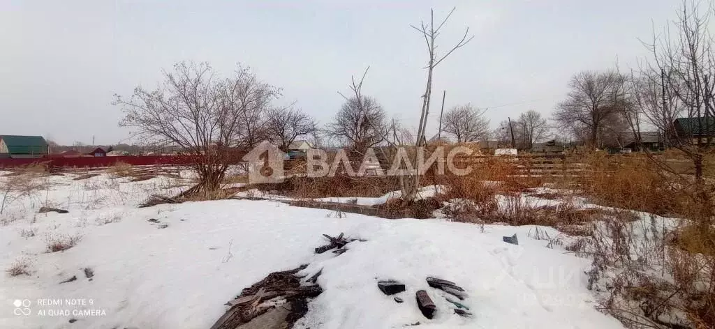 Участок в Приморский край, Чугуевский муниципальный округ, с. ... - Фото 1