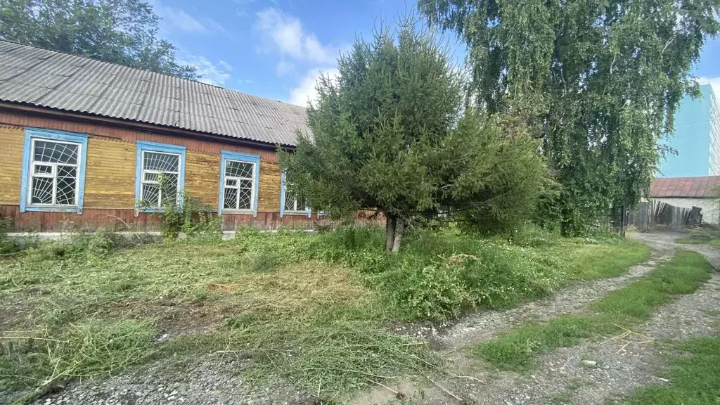 Помещение свободного назначения в Алтайский край, Новоалтайск ул. ... - Фото 2