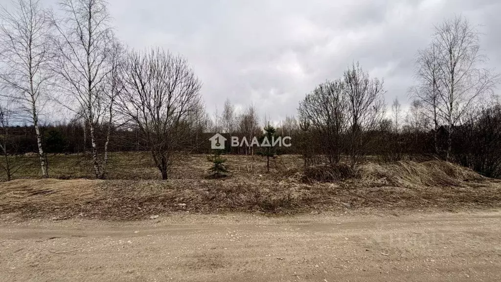Участок в Владимирская область, Владимир д. Злобино,  (10.27 сот.) - Фото 1
