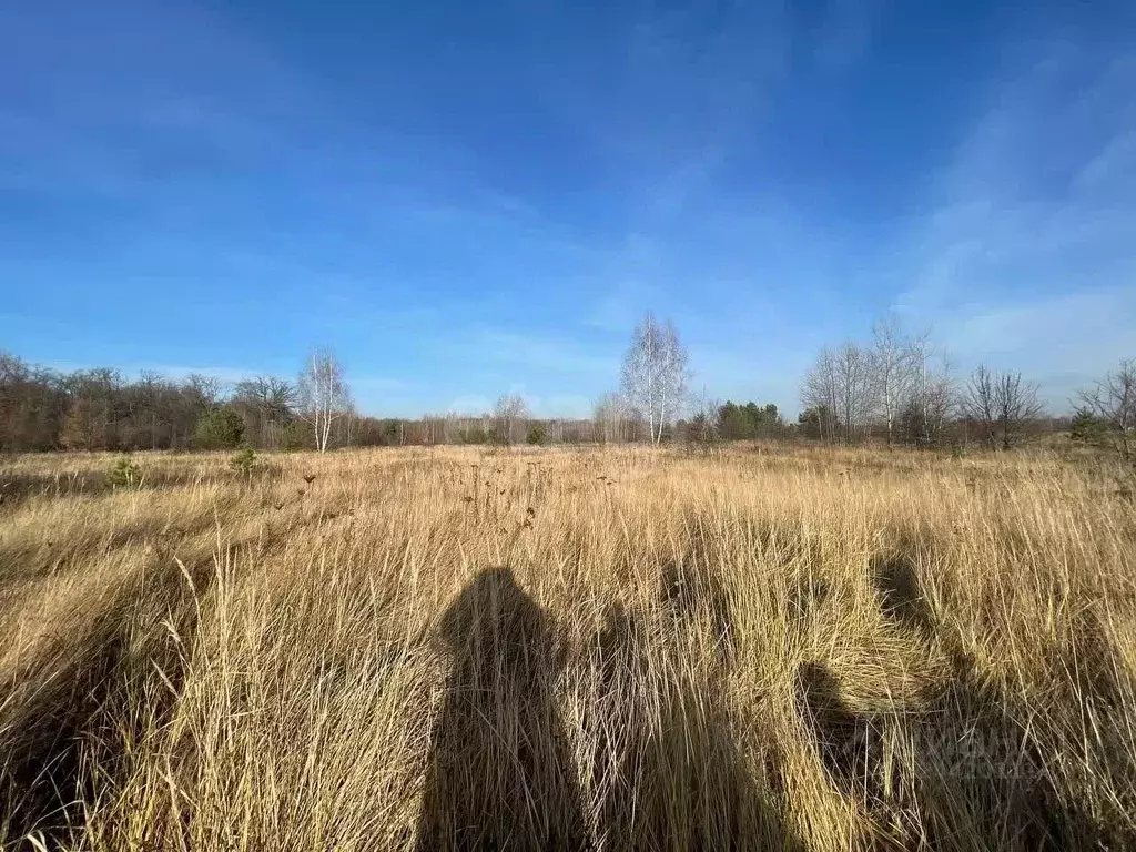 Участок в Воронежская область, Рамонский район, Айдаровское с/пос, ... - Фото 2