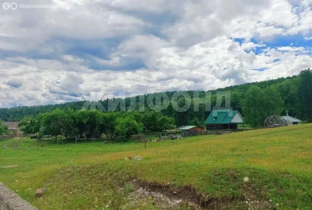 Участок в село Усть-Кокса, Берёзовая улица (15 м) - Фото 2