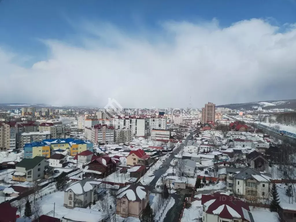 2-к кв. Сахалинская область, Южно-Сахалинск Больничная ул., 2к8 (72.0 ... - Фото 0