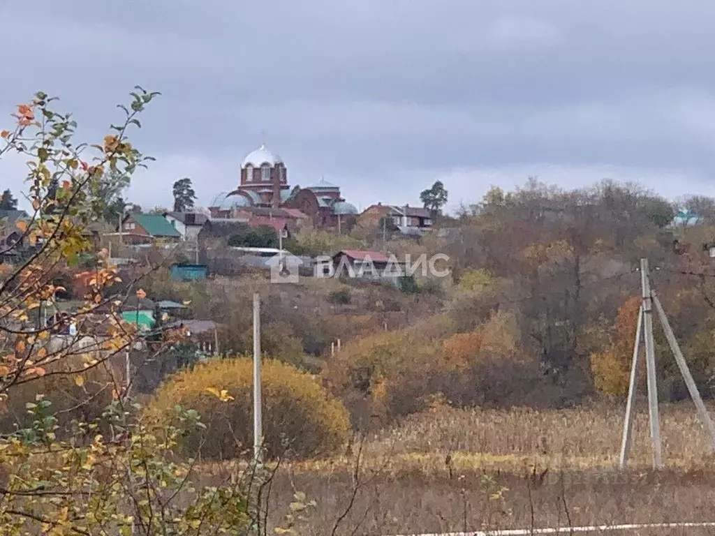 Участок в Воронежская область, Рамонский район, с. Березово  (35.0 ... - Фото 1