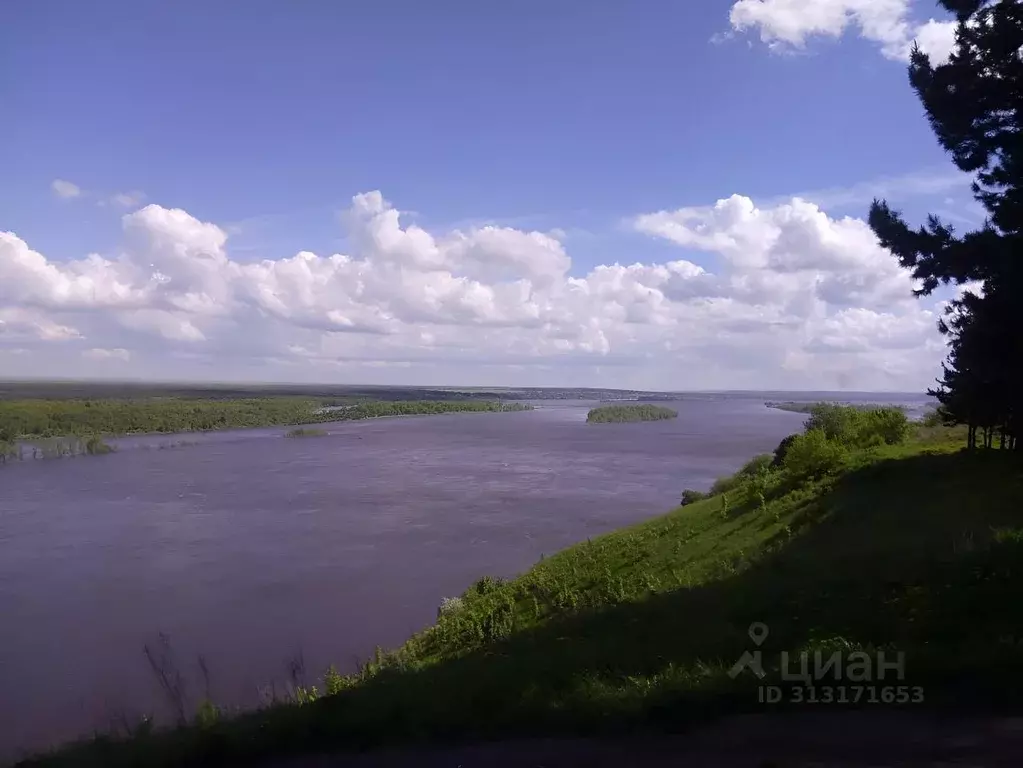 Участок в Удмуртия, Завьяловский район, с. Гольяны Луговая ул., 3Б ... - Фото 1