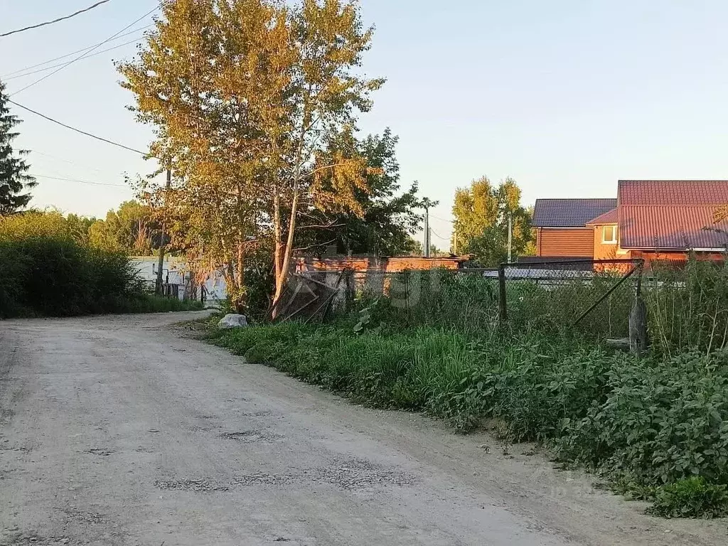 Участок в Новосибирская область, Искитимский район, пос. Мичуринский ... - Фото 0