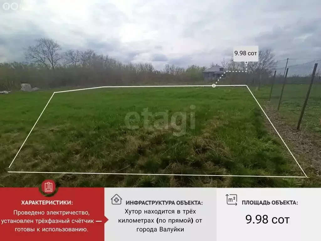 Участок в Белгородская область, Валуйский муниципальный округ, хутор ... - Фото 1