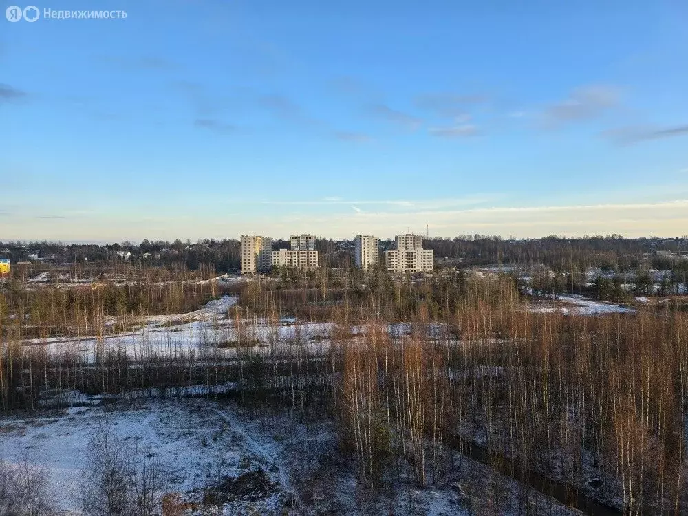 1-комнатная квартира: Всеволожск, микрорайон Южный, улица Доктора ... - Фото 0